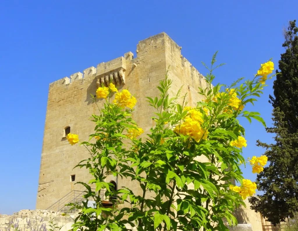 Festiwale i tradycyjne święta na Cyprze: przegląd kulturalnych wydarzeń