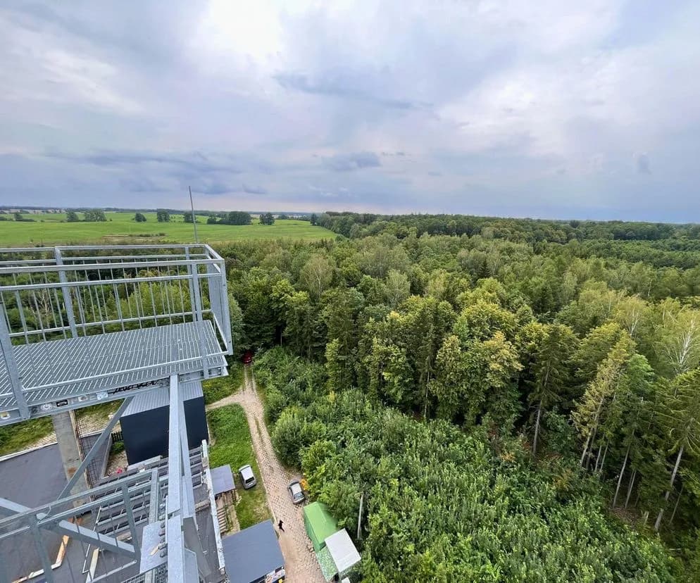 Wieża widokowa w Mamerkach - Panorama Puszczy Wkrzańskiej | Wjedź na szczyt!