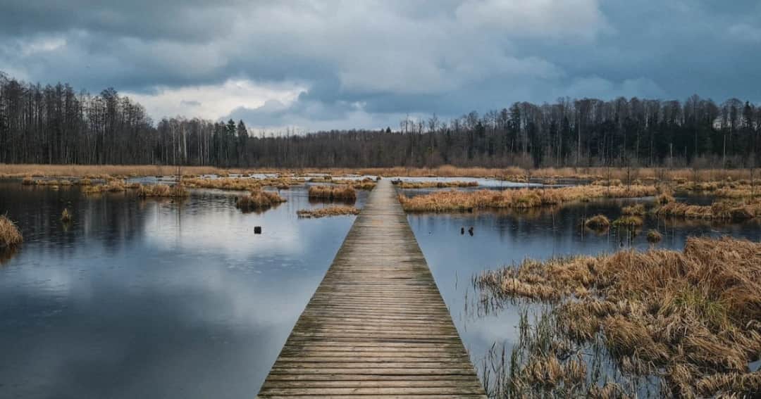 Gdzie jechać w niedzielę: Doskonałe pomysły na one-day trip