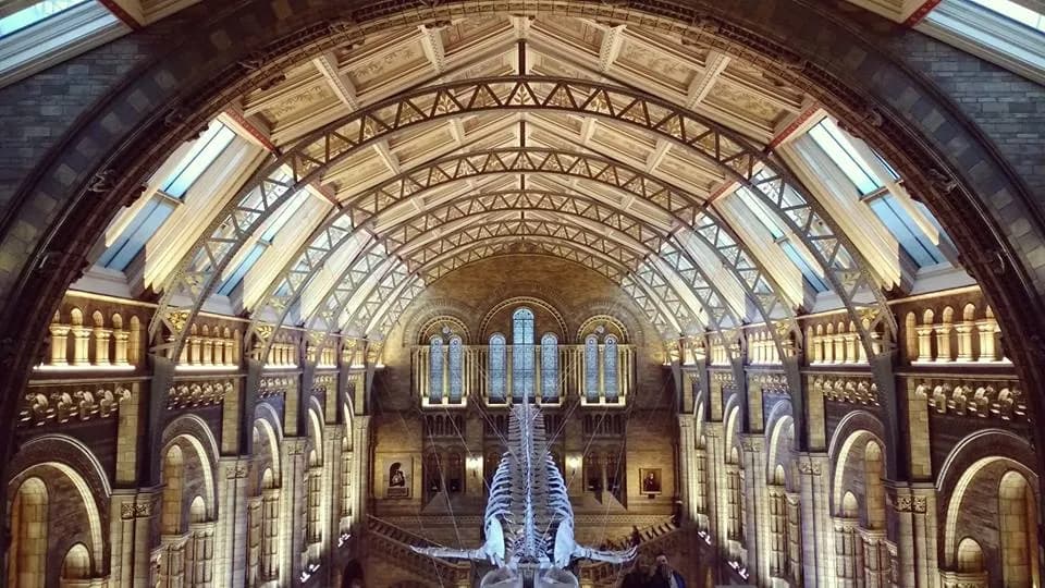 Muzea w Londynie za Darmo! Poznaj 10 Najciekawszych i Bezpłatnych