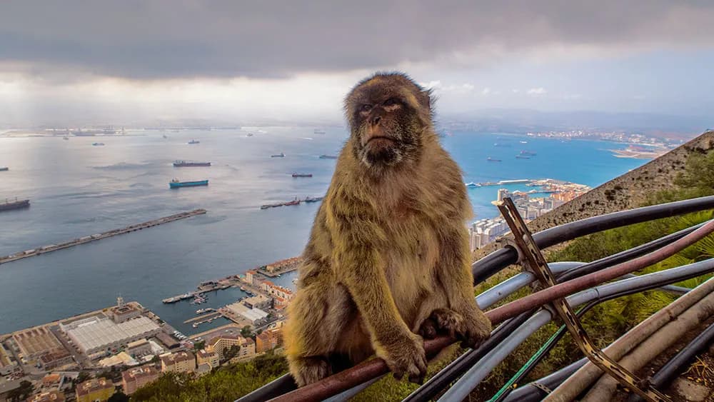 Gibraltar - Co zobaczyć i zwiedzić? Niezapomniane atrakcje