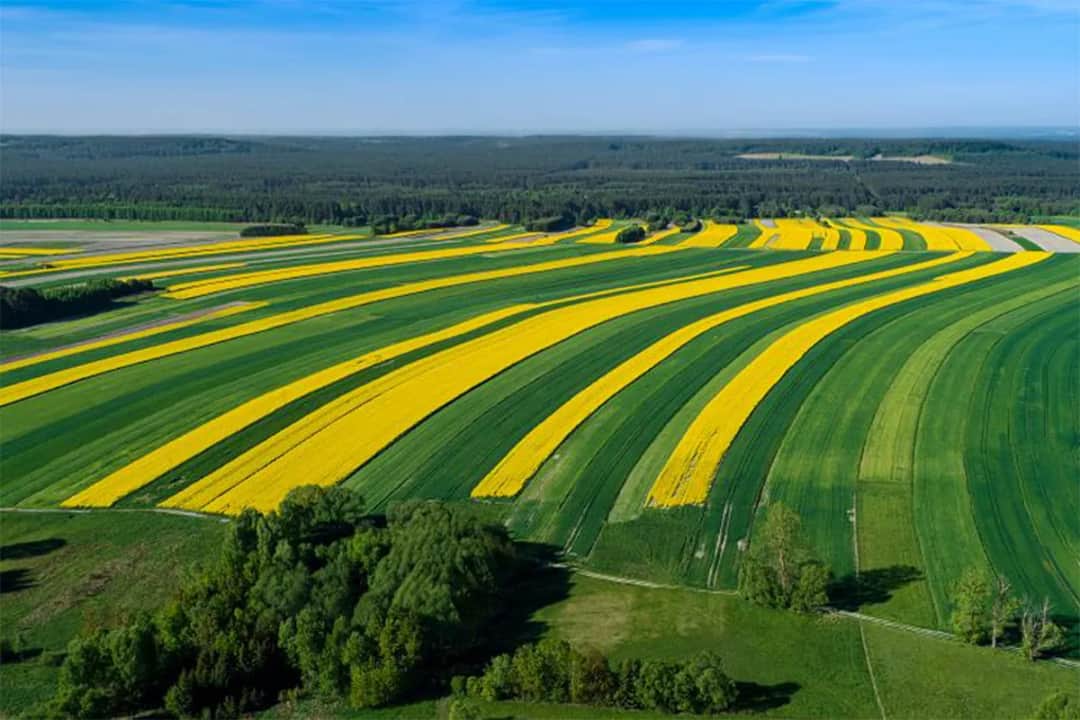 Forum Roztocze: Twoje źródło inspiracji i porad turystycznych